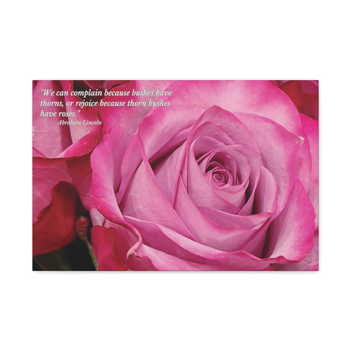 Chose The Beauty of the Positive- Be Thankful Thorn Bushes Have Pink R ...